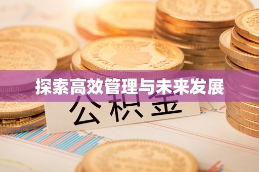 横峰探索高效管理与未来发展
