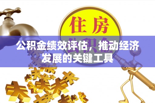 横峰公积金绩效评估，推动经济发展的关键工具