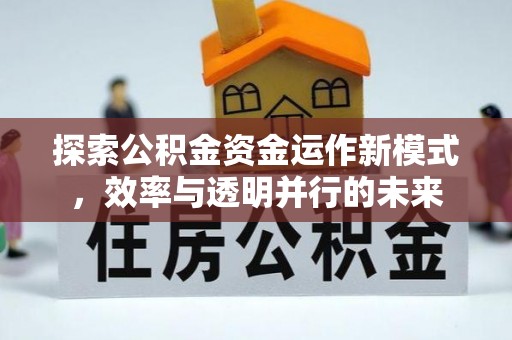 横峰探索公积金资金运作新模式，效率与透明并行的未来