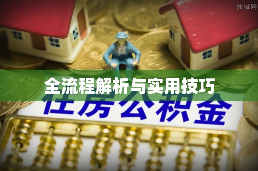 横峰全流程解析与实用技巧