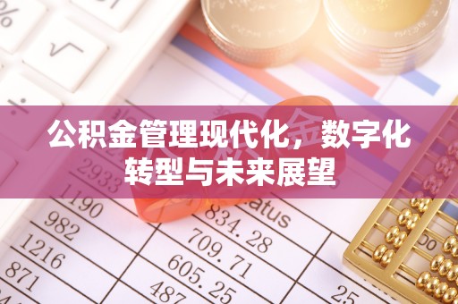横峰公积金管理现代化，数字化转型与未来展望