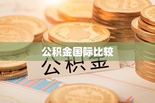 横峰公积金国际比较