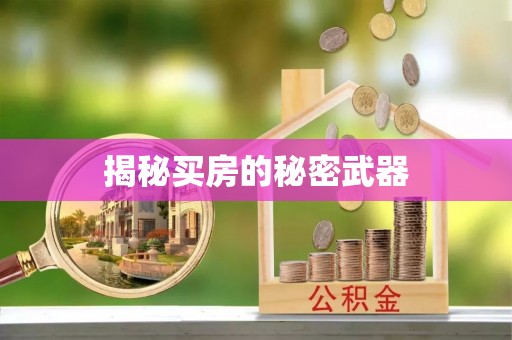 横峰揭秘买房的秘密武器