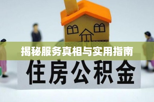 横峰揭秘服务真相与实用指南
