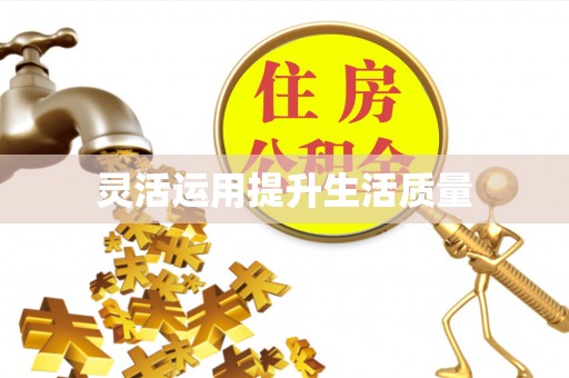横峰灵活运用提升生活质量