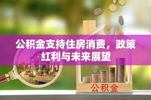 横峰公积金支持住房消费，政策红利与未来展望