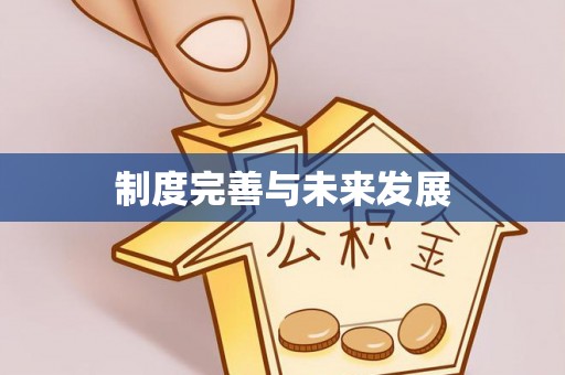 横峰制度完善与未来发展