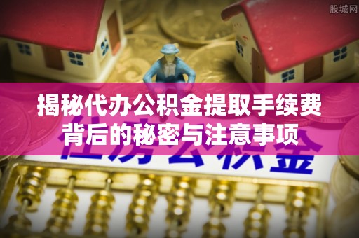横峰揭秘代办公积金提取手续费背后的秘密与注意事项