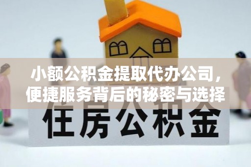 横峰小额公积金提取代办公司，便捷服务背后的秘密与选择指南