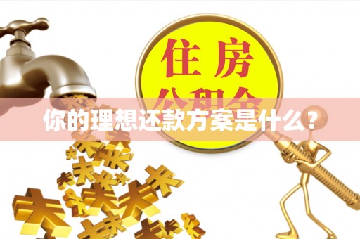 横峰你的理想还款方案是什么？