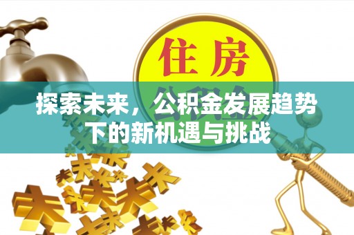 横峰探索未来，公积金发展趋势下的新机遇与挑战