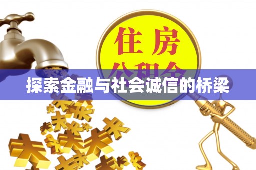 横峰探索金融与社会诚信的桥梁