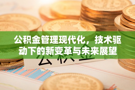 横峰公积金管理现代化，技术驱动下的新变革与未来展望