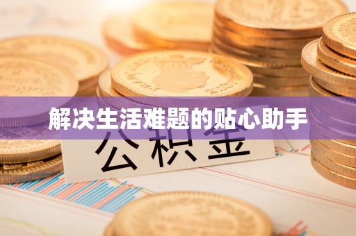 横峰解决生活难题的贴心助手