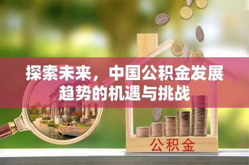 横峰探索未来，中国公积金发展趋势的机遇与挑战