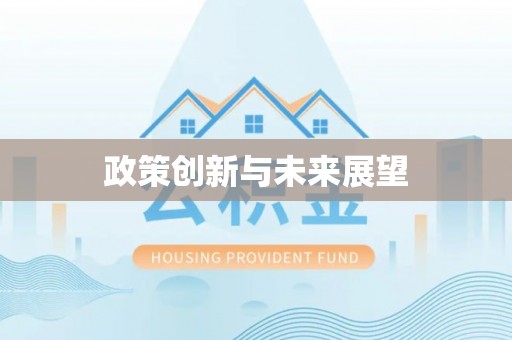 横峰政策创新与未来展望
