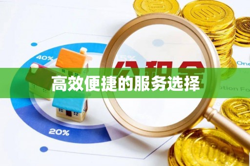 横峰高效便捷的服务选择