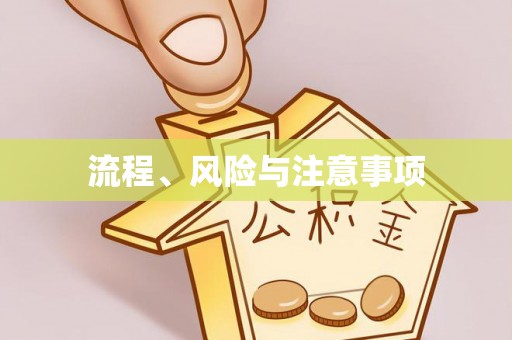 横峰流程、风险与注意事项