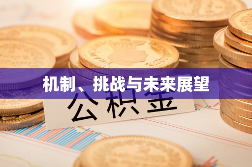 横峰机制、挑战与未来展望